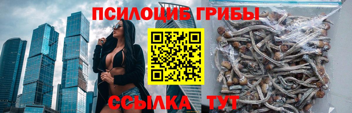 где купить   Псилоцибиновые грибы мицелий  Псилоцибиновые грибы ЛСД  Вход с VPN  Кстово 